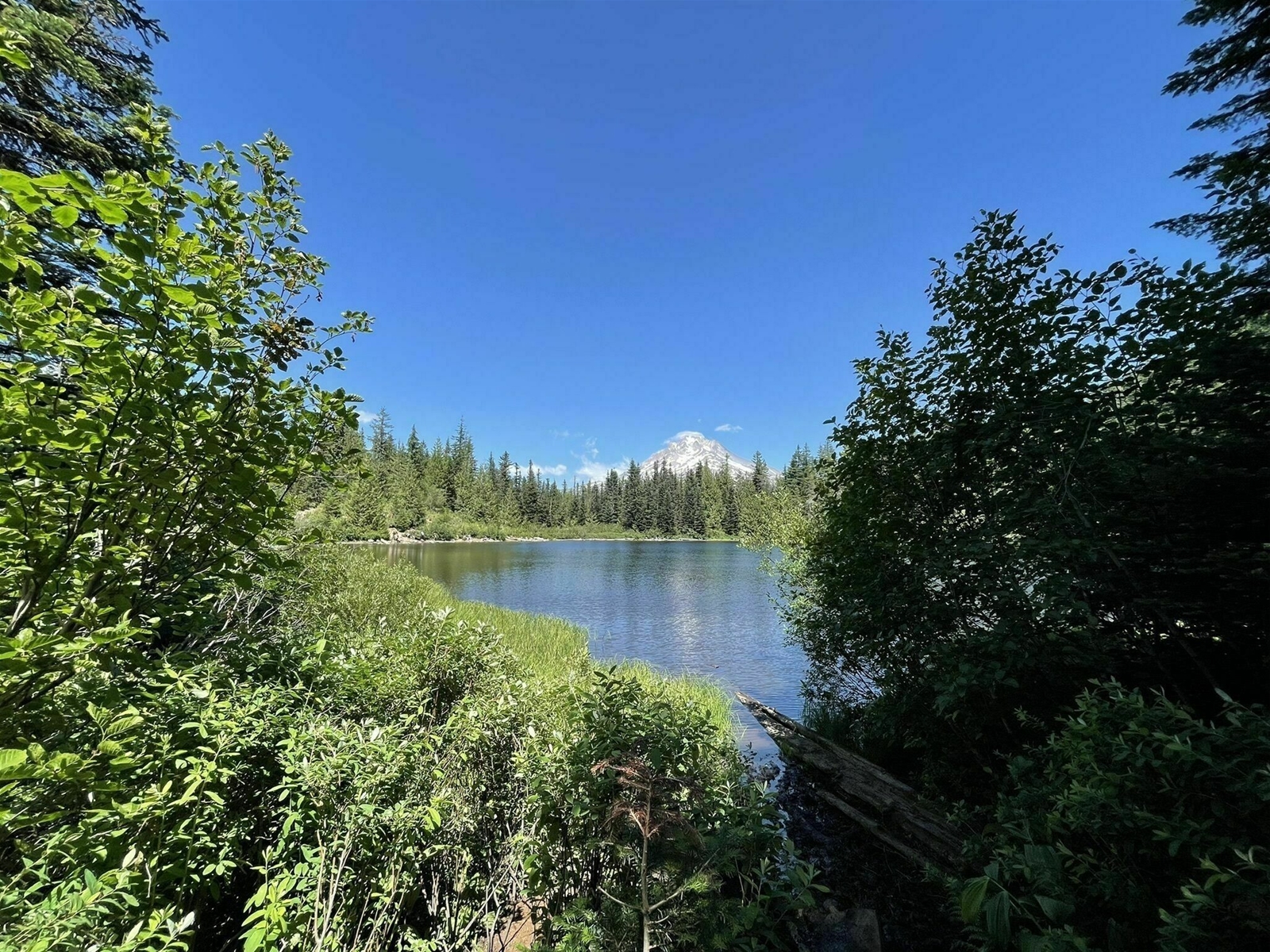 Hiking Collins Lake Resort